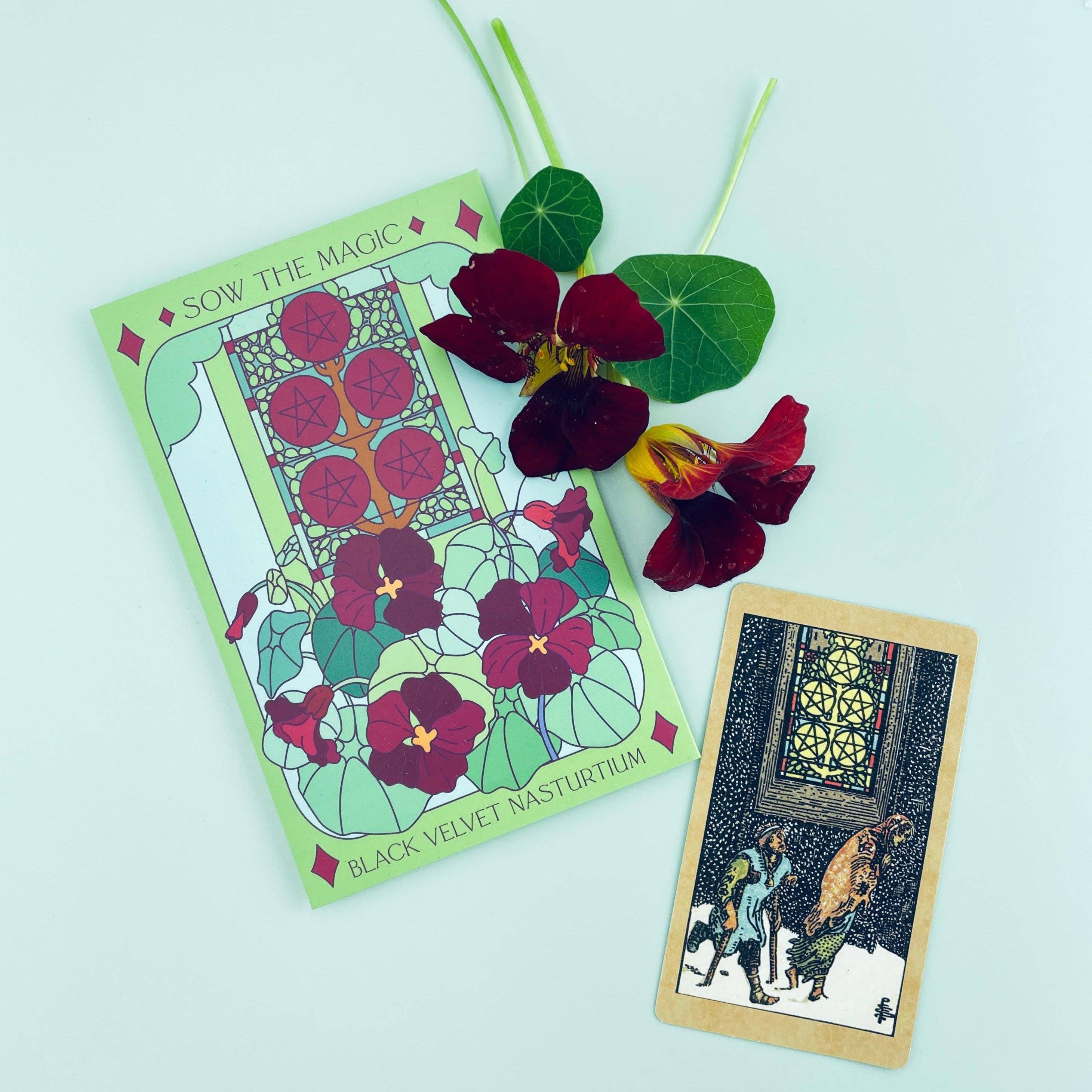 Sow the Magic Nasturtium Seed Packet - Thumbnail 3